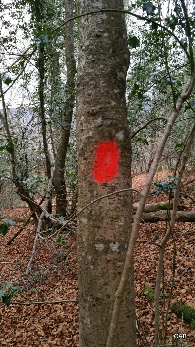 El camino esta marcado por puntos rojos