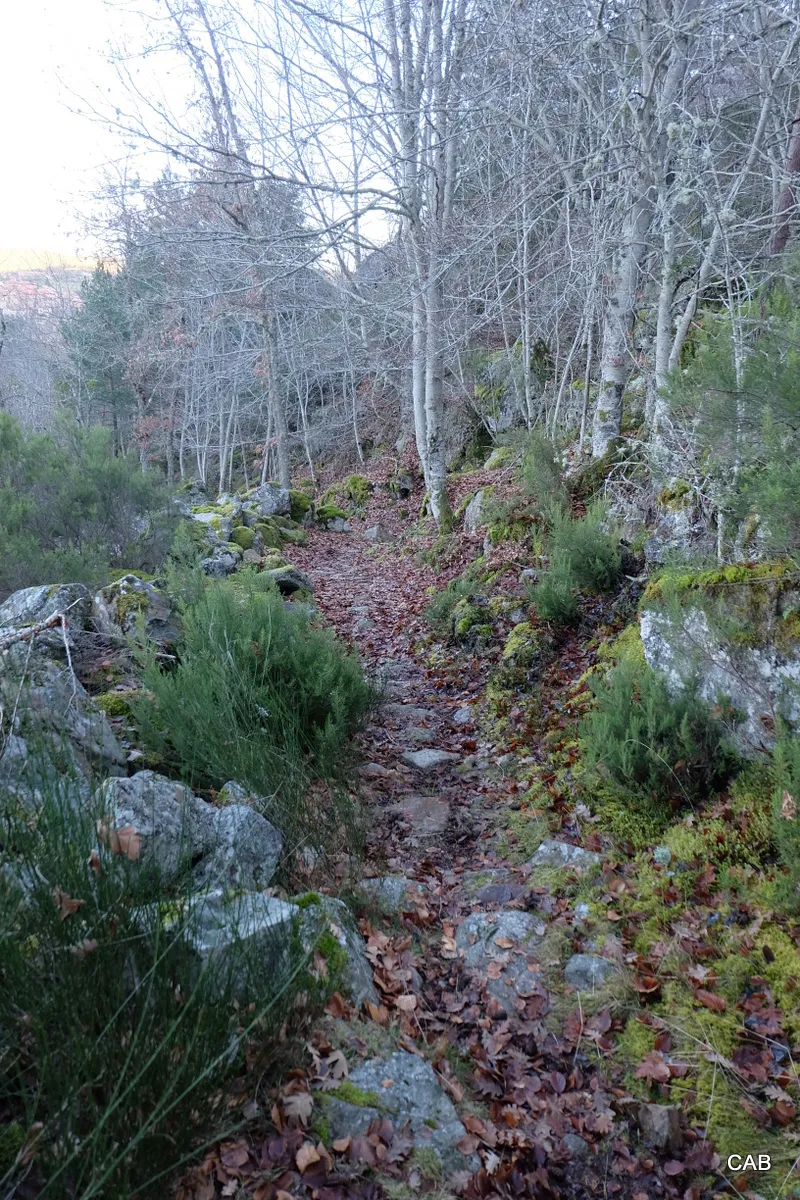 Vía Romana a La Laguna de la Nava