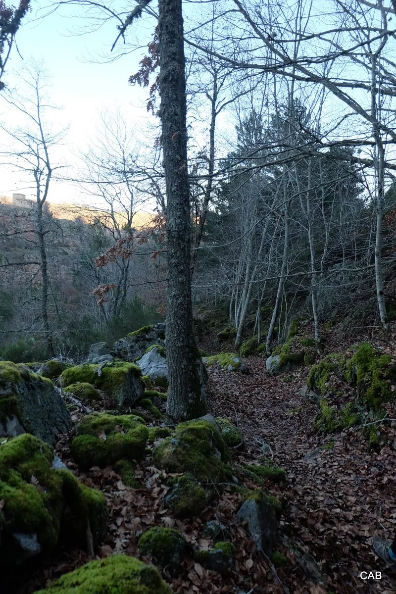 Vía Romana a La Laguna de la Nava