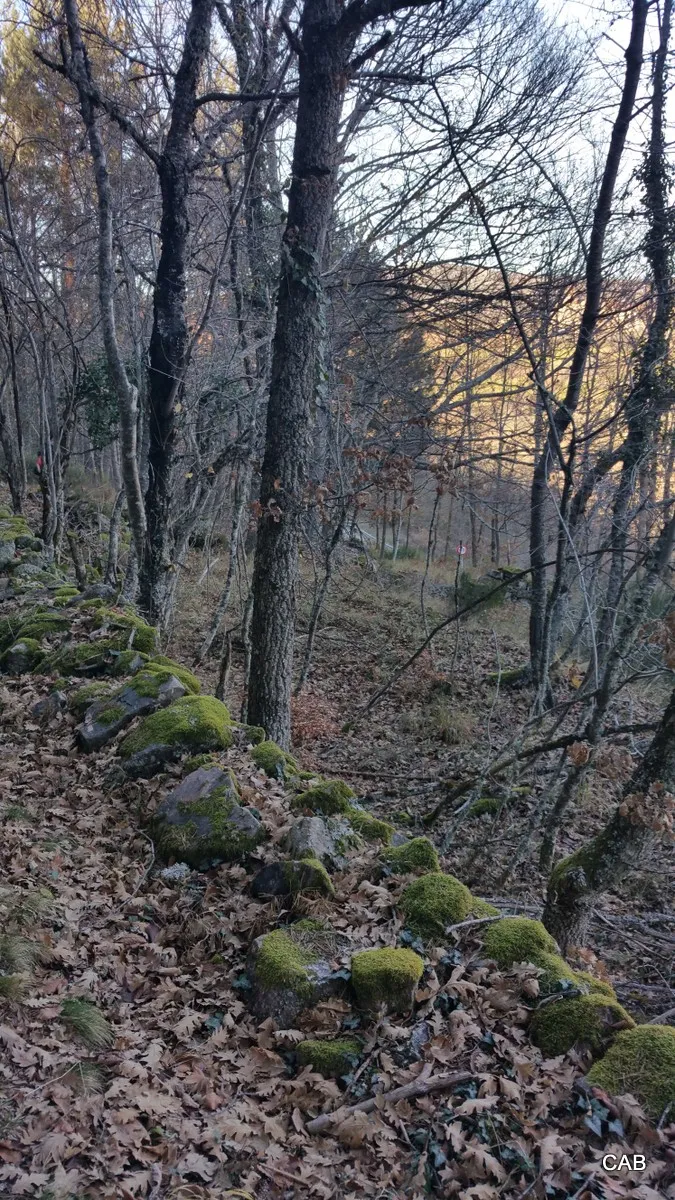 Vía Romana a La Laguna de la Nava