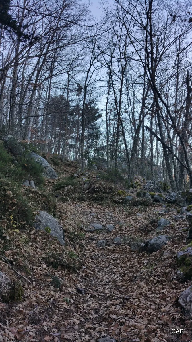 Vía Romana a La Laguna de la Nava