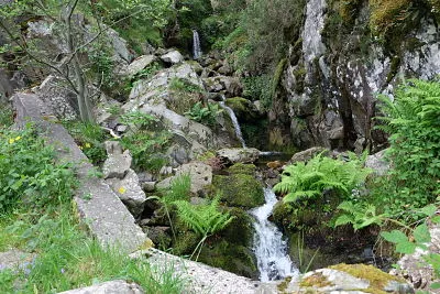 LLano de la Casa (3)_opt